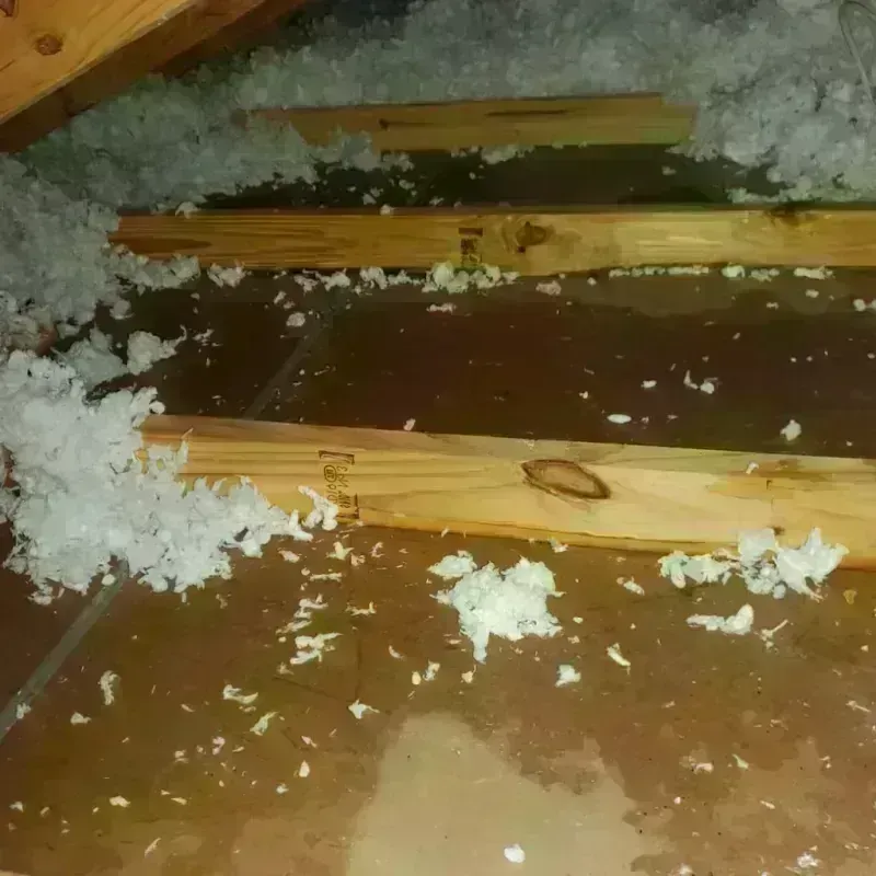 Attic Water Damage in Brookings County, SD