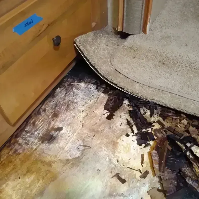 Wood Floor Water Damage in Brookings County, SD